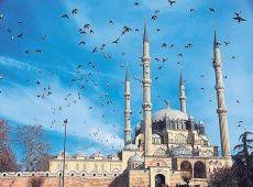 BEDRAN TOKMAK